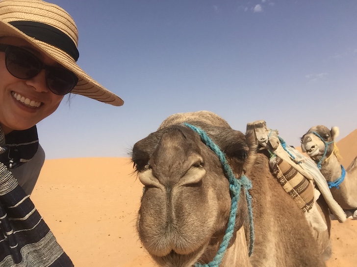 Camel ride Tunisia