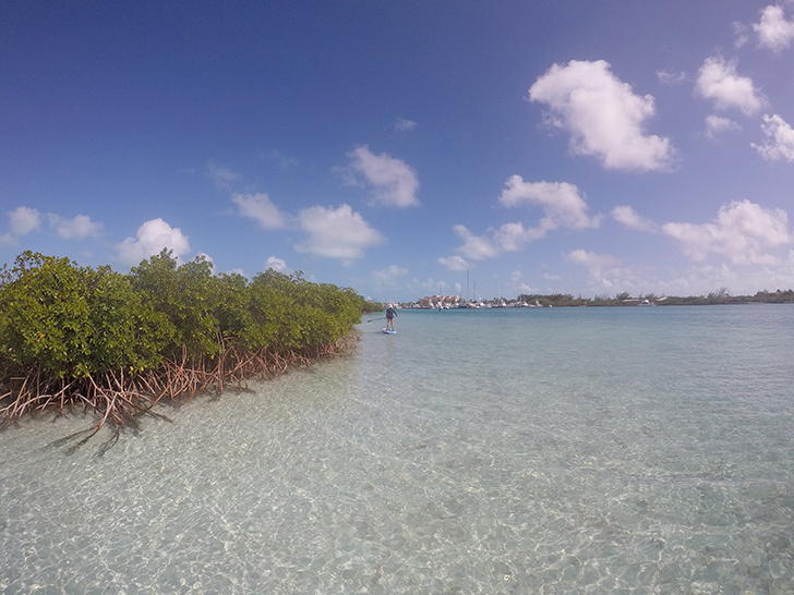 Paddling Mangrove Cay Turks and Caicos Islands