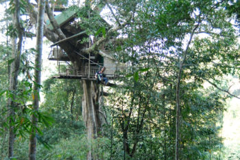 Gibbon Experience Laos