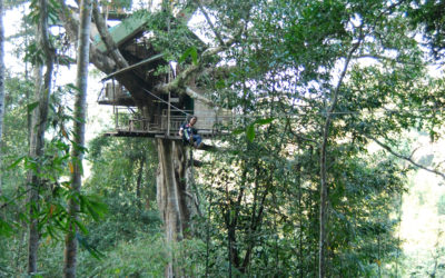 The Gibbon Experience in Laos