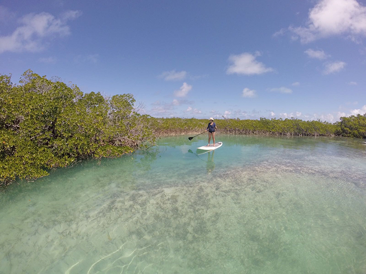 SUP tour Providenciales