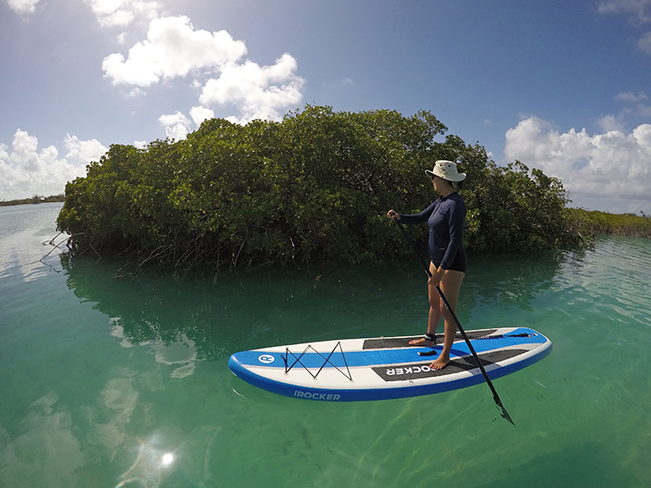 SUP tour Providenciales