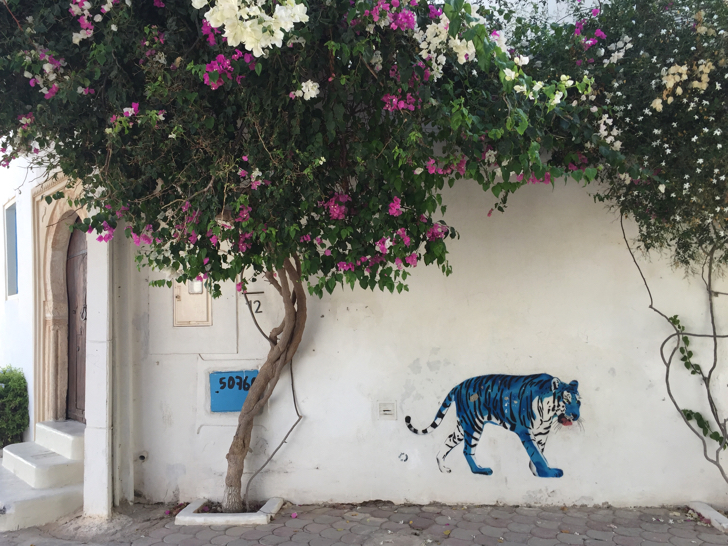 Tunisia street art
